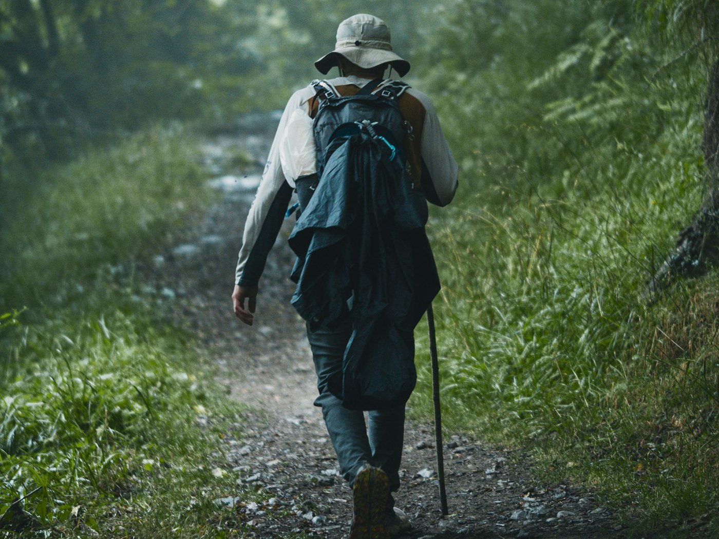Peregrino caminando por un sendero verde del Camino del Norte, entre Villaviciosa y Gijón